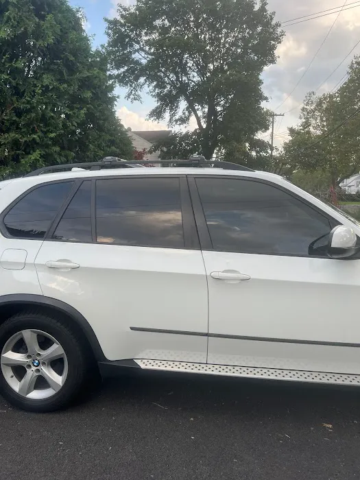 Ralph's Auto Tint 3