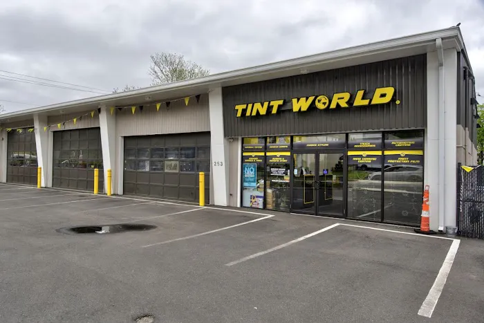 Tint World 1