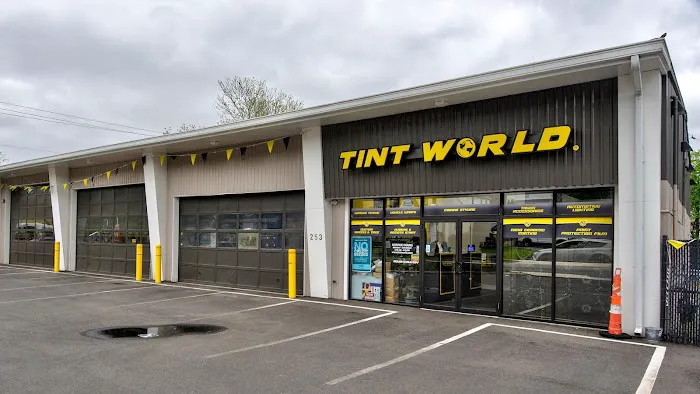 Tint World 5