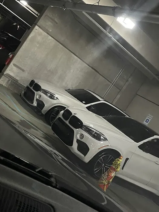Torque Auto Body 6