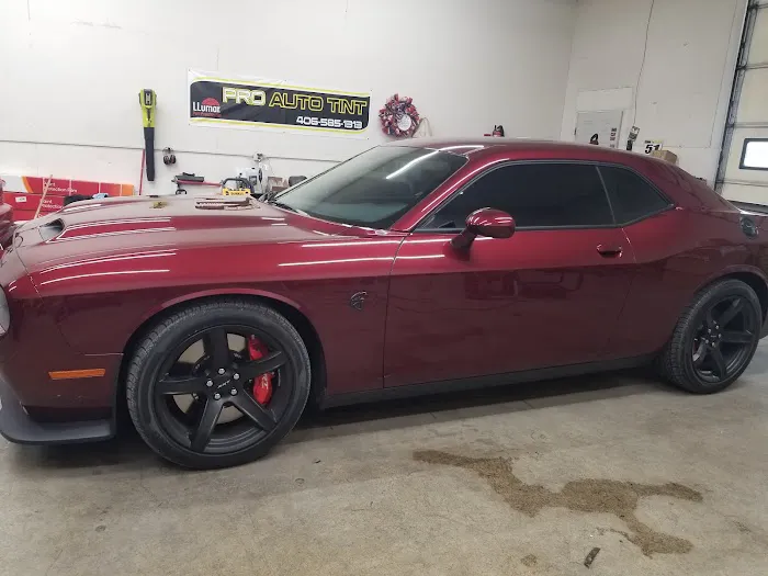 Pro Auto Tint & Clear Bras 1