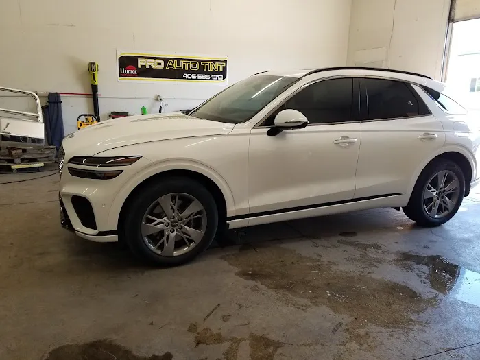 Pro Auto Tint & Clear Bras 8