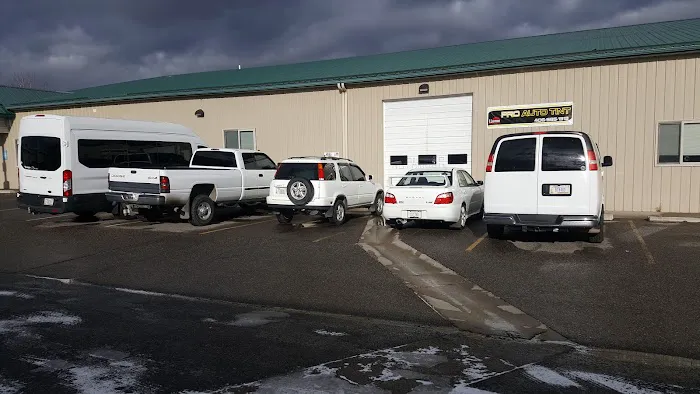 Pro Auto Tint & Clear Bras 5