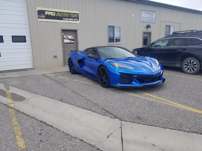 Pro Auto Tint & Clear Bras 9