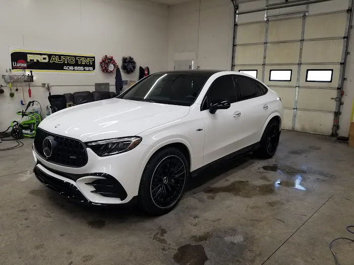 Pro Auto Tint & Clear Bras 3