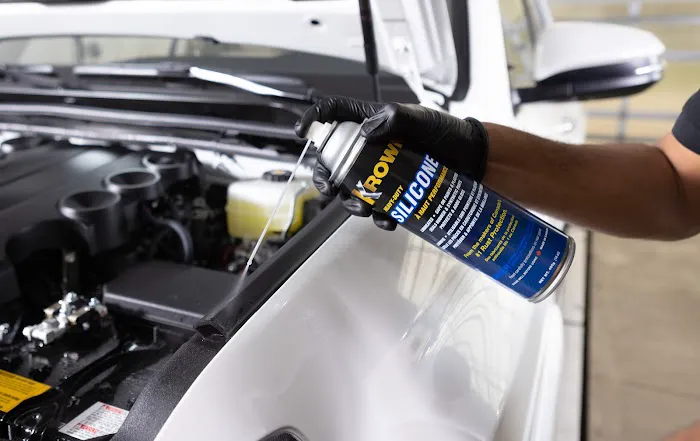 Krown Gansenvoort & Platinum Protective Coatings 7