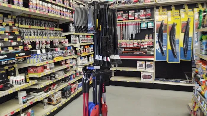 Advance Auto Parts 3
