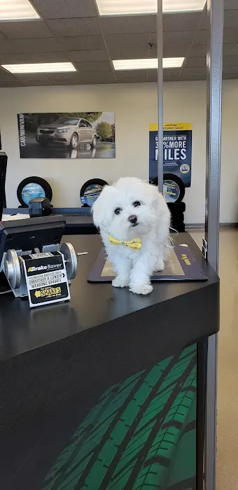 Just Tires 3