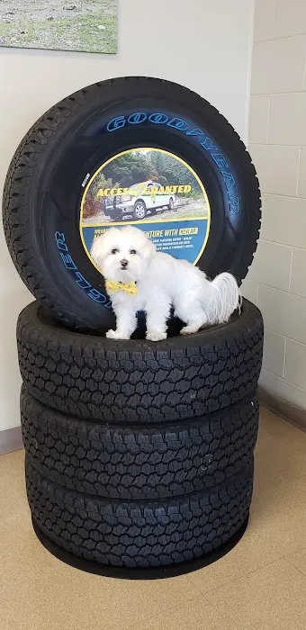 Just Tires 7