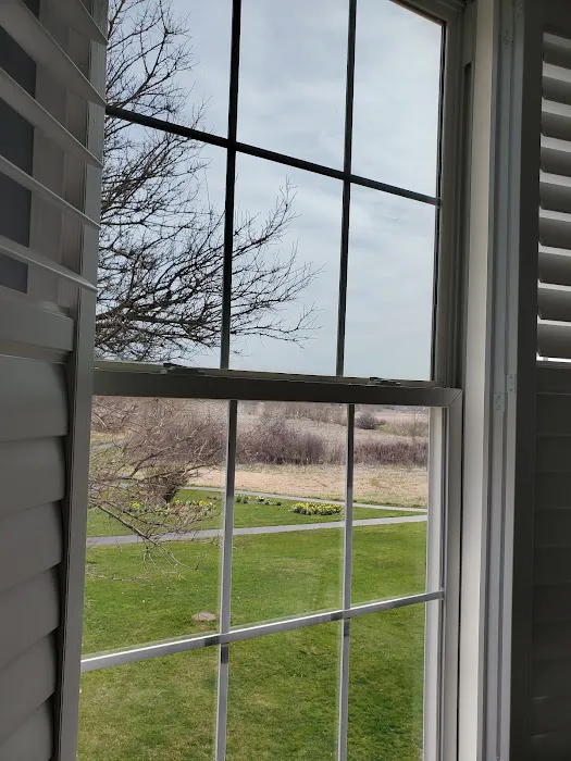 Elgin Window Tint 3