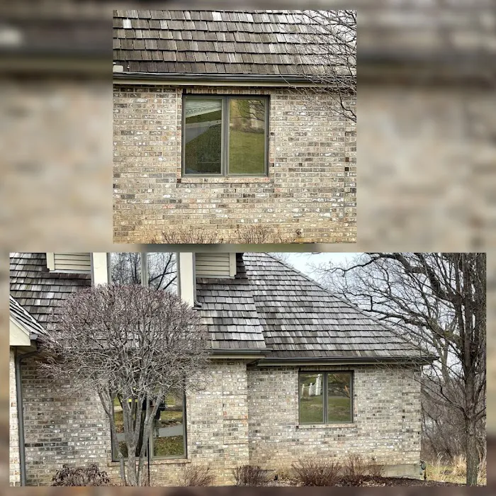Elgin Window Tint 6