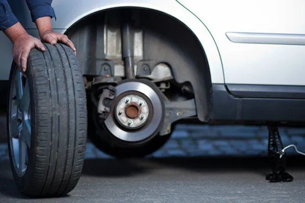Chihuahua Tire & Rims - Elgin 1