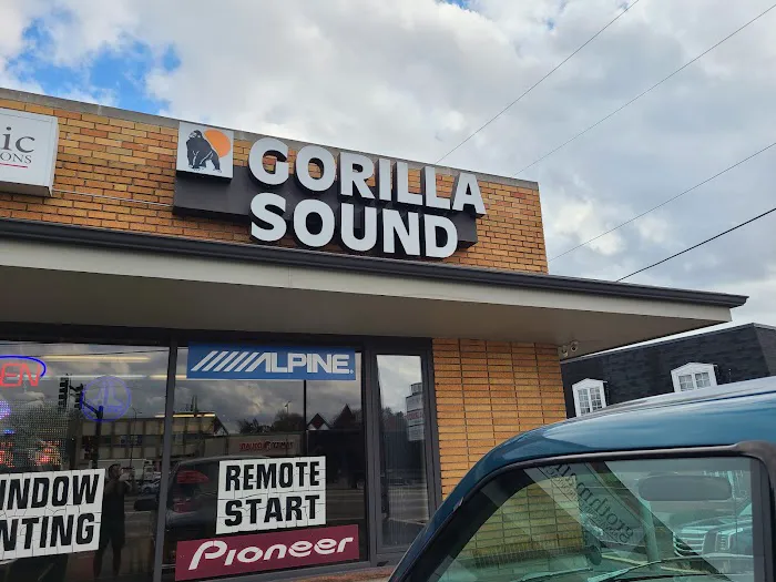 Gorilla Sound 4