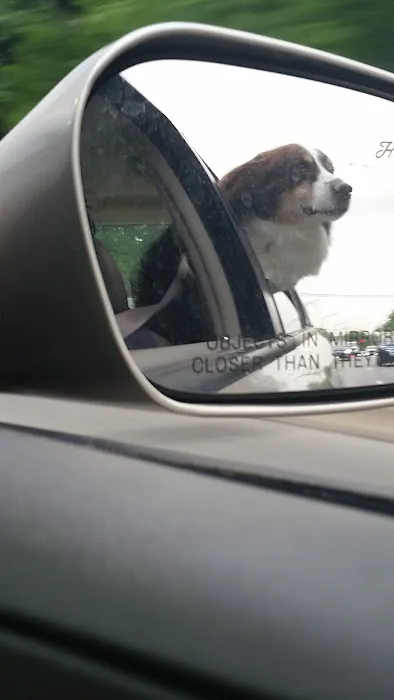 Costco Tire Center 4