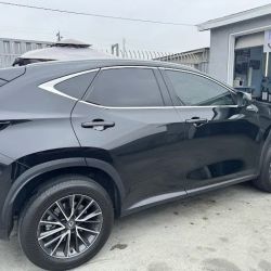 Finish Line Custom Films Window Tint & Vinyl Wrap ico