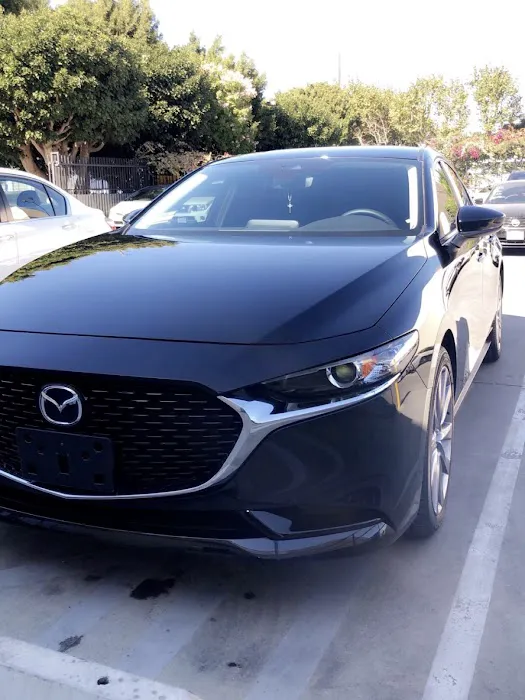 Marina Auto Body 0