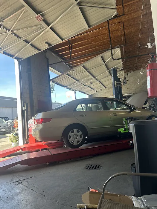 Luis Auto Electric 2
