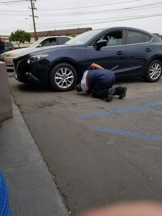 Vision Tire 9
