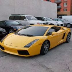 Window Tint USA ico