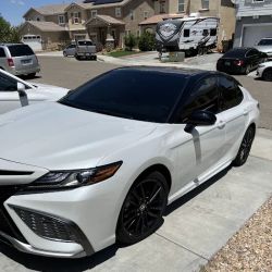 TVR Window Tint ico