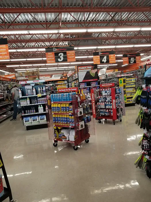 AutoZone Auto Parts 1