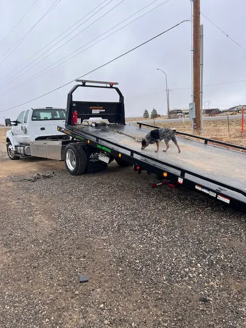 Brown's Towing & Road Service 1