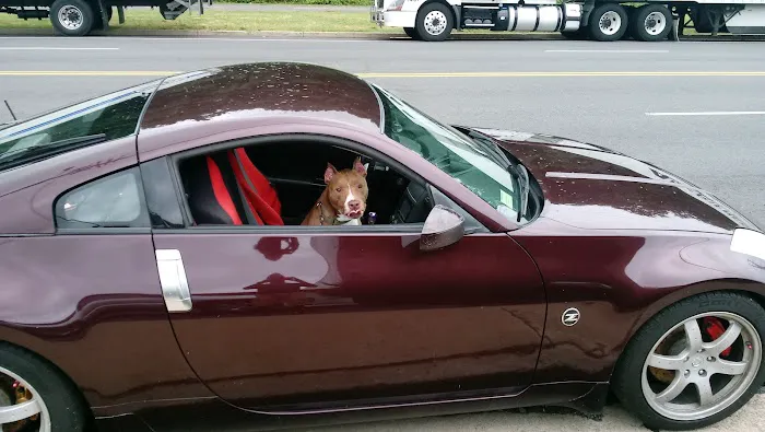 Auto America Service 6