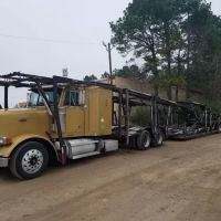 Elite Auto Window Tinting