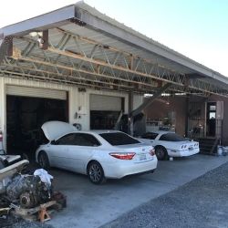 Ace Auto Repair ico