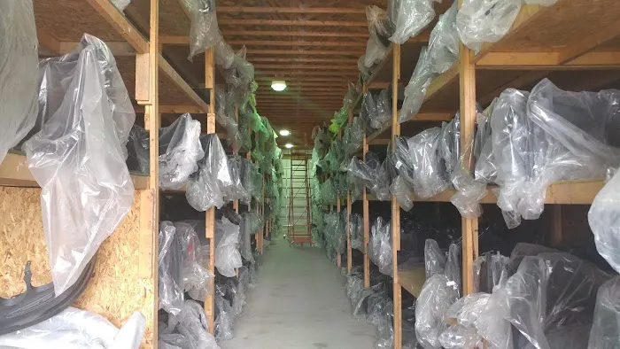 Flint Bumper Mart 5