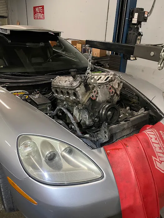 Mute performance llc 2