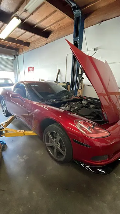 Mute performance llc 0