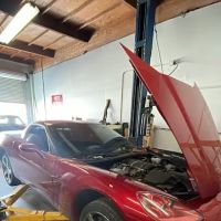 Mute performance llc