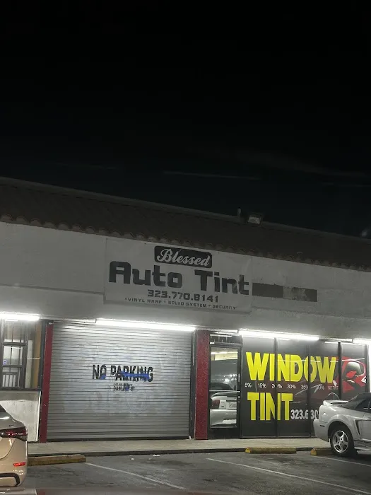 Blessed Auto Tint 2