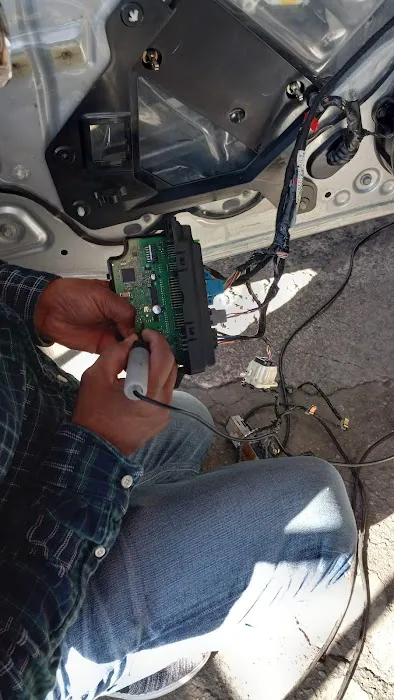 El Bicho's Auto Electric 1