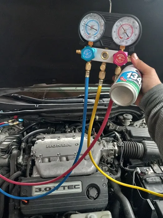 El Bicho's Auto Electric 0