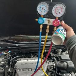 El Bicho's Auto Electric ico