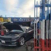 MATUS ENGINES