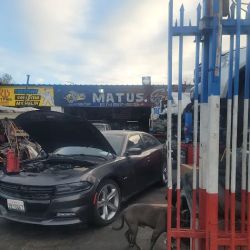 MATUS ENGINES ico