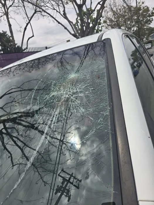Alameda Car Glass 6
