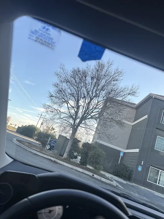 Absolute Windshield Repair 7