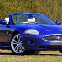 Supreme Auto, LLC
