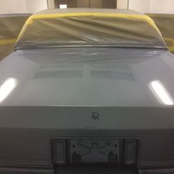 Earl Scheib Paint & Body ico