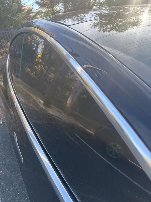 Bo-zilla tint place 0