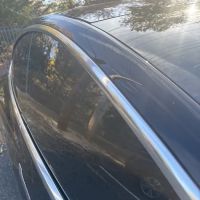Bo-zilla tint place