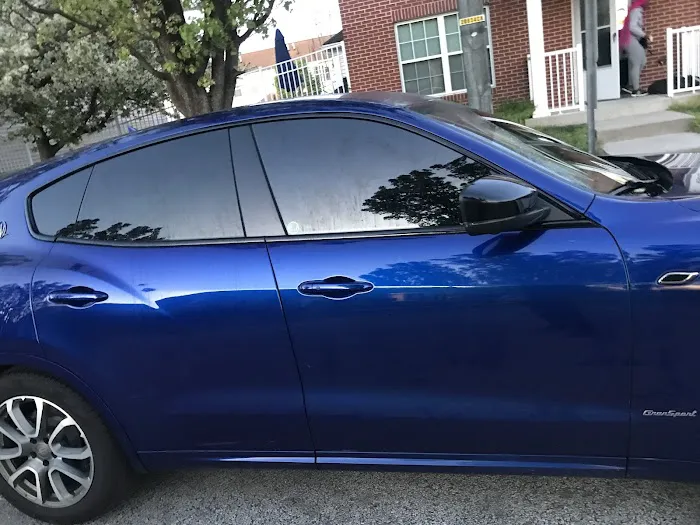 Bo-zilla tint place 1