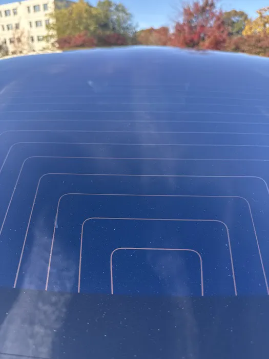 Bo-zilla tint place 2