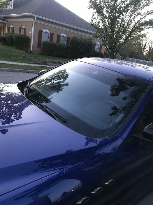 Bo-zilla tint place 3