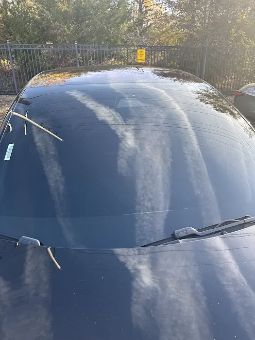 Bo-zilla tint place 6