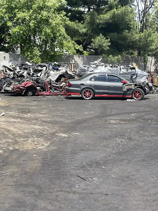 Our Family Salvage 2